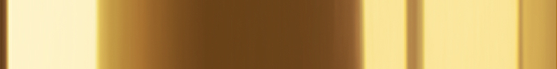 Polished Brass Polished Brass